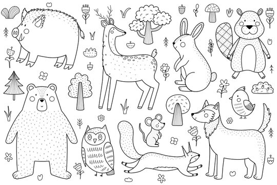 Cute forest animals black and white set. Woodland characters collection in outline for kids and baby design. Great for coloring page. Vector illustration