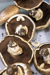 Big Portobello Mushrooms