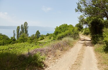 Fototapeta na wymiar Hiking Through Galicica National Park in Ohrid, North Macedonia