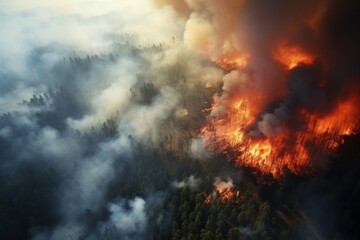 Fototapeta na wymiar Aerial view of a pine forest fire with flame and smoke
