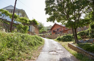 Hiking Through Galicica National Park in Ohrid, North Macedonia