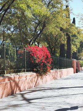 hongkong,hong kong palace museum,how to go to hongkong palace museum,shang palace hong kong,wisata hongkong |hongkong palace museum |vlog tkw hongkong,palace museum hong kong,shang palace kowloon,pala