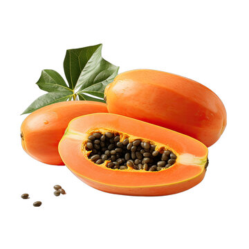 Whole Papaya Fruit Displayed Isolated on Transparent or White Background, PNG