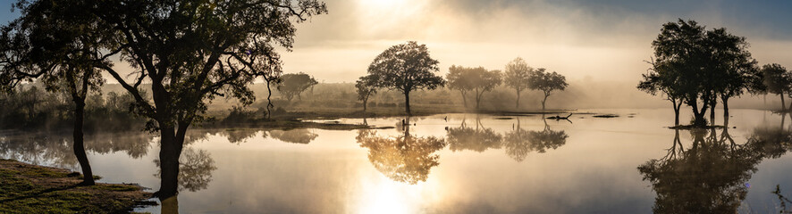 Savannah pond in the morning fog in Kruger National Park, South Africa