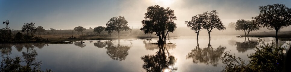 Savannah pond in the morning fog in Kruger National Park, South Africa - obrazy, fototapety, plakaty