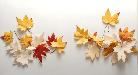 autumn leaves postcard on white background for space for text