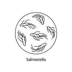 Pathogenic bacteria. Bacterial microorganism. Microbiology, infographics. hand drawn doodle style.