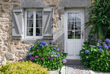 Fototapeta na wymiar house facade in stone with door and window ornate by an hydrangea blooming in garden