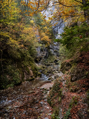 Fototapeta na wymiar Image from Cheile Butii gorge, near Campu lui Neag, Hunedoara, Romania