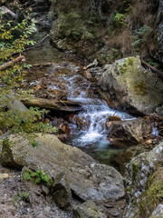Image from Maria Valley ( Valea Mariii ) gorge, Hunedoara county, Romania
