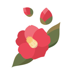 椿の花とつぼみのイラスト　フラットデザイン