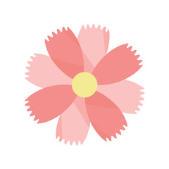 濃いピンク色のコスモスの花のアイコン