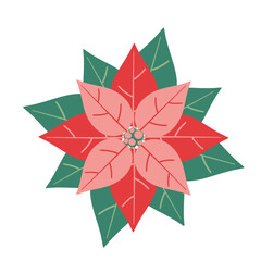 シンプルで可愛い赤とピンクのポインセチアのイラスト