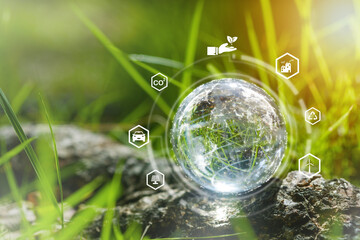 Glass globe in green forest with the icon environment of ESG, co2,  and net zero.Technology Environment, society, and governance for sustainable, environment Concept.