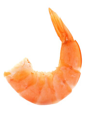 Shrimp isolated on white