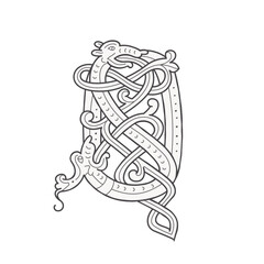 Q letter logo. Medieval drop caps monogram. Initials made of spiral Celtic beasts, snake, dragon. Gothic illuminated calligraphy. Middle Ages heraldic ornate capitals. Germanic font for pagan tattoos.