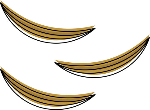 Cumin icon