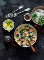 Delicious balanced served lunch - salmon spinach cream sauce stewed and basmati rice on a dark...