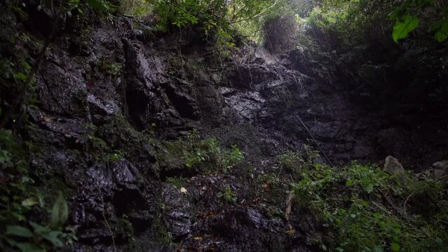 	美樽の滝　静岡県焼津市