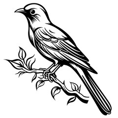 bird, animal, vector, birds, nature, illustration, tree, drawing, branch, design, sparrow, wing, cartoon, pattern, feather, wildlife, silhouette, cute, pigeon, beak, sketch, wild, flower, spring, love