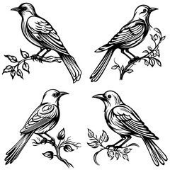 bird, animal, vector, birds, nature, illustration, tree, drawing, branch, design, sparrow, wing, cartoon, pattern, feather, wildlife, silhouette, cute, pigeon, beak, sketch, wild, flower, spring, love