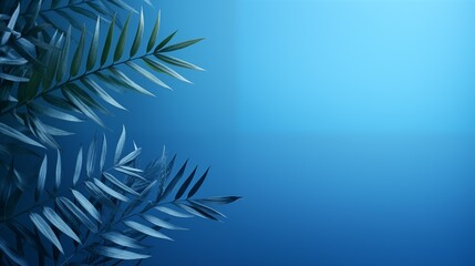 a close up of a palm leaf on a blue background