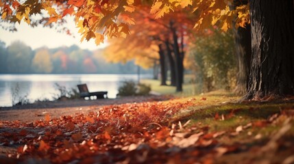 a park bench sitting under a tree next to a lake