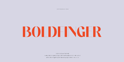 Elegant Font Uppercase Lowercase and Number. Classic Lettering Minimal Fashion Designs. Typography modern Sen Serif fonts regular decorative vintage concept. vector illustration © SyedMuhammad