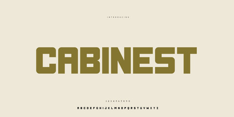 Elegant Font Uppercase Lowercase and Number. Classic Lettering Minimal Fashion Designs. Typography modern Sen Serif fonts regular decorative vintage concept. vector illustration © SyedMuhammad