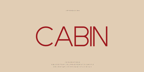 Elegant Font Uppercase Lowercase and Number. Classic Lettering Minimal Fashion Designs. Typography modern Sen Serif fonts regular decorative vintage concept. vector illustration © SyedMuhammad