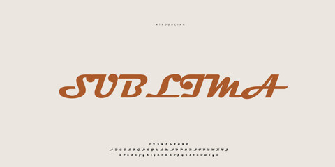 Elegant Font Uppercase Lowercase and Number. Classic Lettering Minimal Fashion Designs. Typography modern Sen Serif fonts regular decorative vintage concept. vector illustration © SyedMuhammad