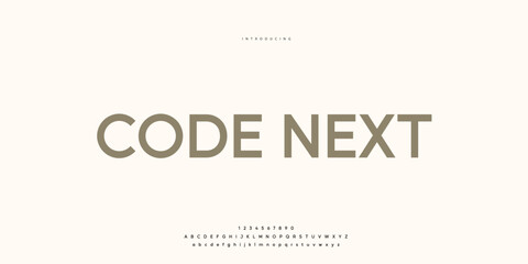 Elegant Font Uppercase Lowercase and Number. Classic Lettering Minimal Fashion Designs. Typography modern Sen Serif fonts regular decorative vintage concept. vector illustration © SyedMuhammad