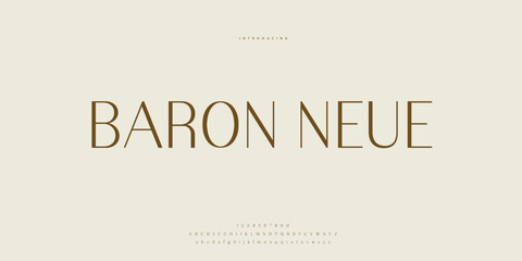 Elegant Font Uppercase Lowercase and Number. Classic Lettering Minimal Fashion Designs. Typography modern Sen Serif fonts regular decorative vintage concept. vector illustration © SyedMuhammad