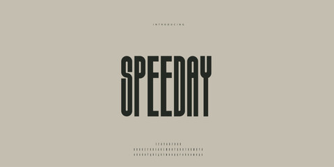 Elegant Font Uppercase Lowercase and Number. Classic Lettering Minimal Fashion Designs. Typography modern Sen Serif fonts regular decorative vintage concept. vector illustration © SyedMuhammad