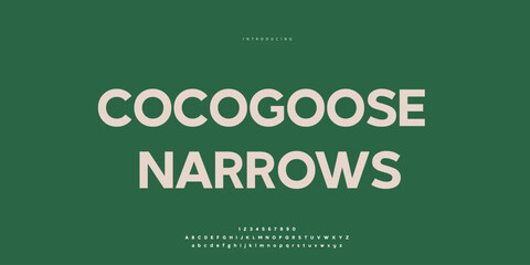 Elegant Font Uppercase Lowercase and Number. Classic Lettering Minimal Fashion Designs. Typography modern Sen Serif fonts regular decorative vintage concept. vector illustration © SyedMuhammad