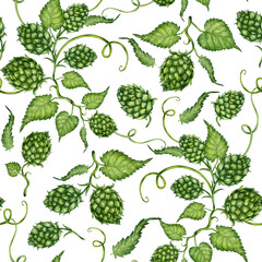 Watercolor illustration pattern of fresh green hop branch with leaves and cones for use in the brewing industry. Isolated malt. Compositions for posters, cards, banners, flyers, covers, playbills