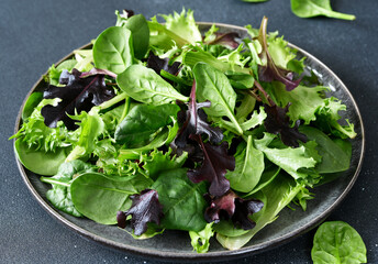 Lettuce leaves in a plate on a dark background.
