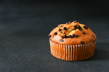 Muffins with chocolate chips on a dark background
