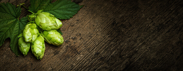fresh green hop cones on a wooden table
