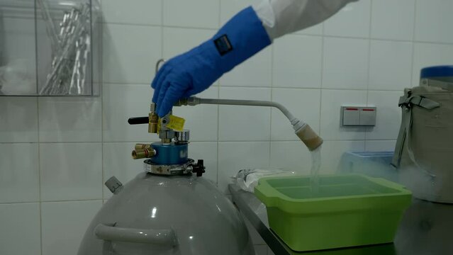 Medical Laboratory Technician Grasps And Turns Valve On Tank To Begin Pouring Liquid Nitrogen. Pouring Liquid Nitrogen To Freeze Embryo. Pouring Liquid Nitrogen Into Box To Store Cells In Clinic