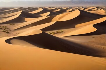 Fototapeta na wymiar 砂漠の丘