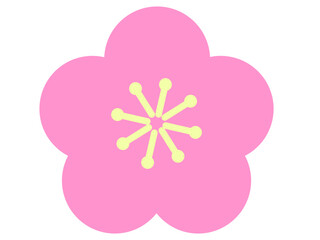 梅の花