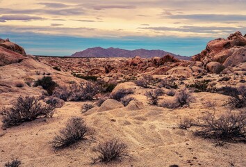 Desert Boulder Formations in Joshua Tree