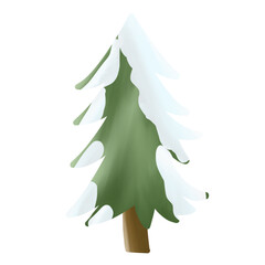 Watercolor pine tree illustration 