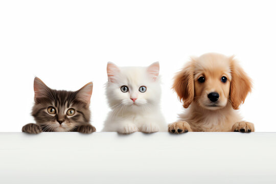 kitten and puppy, AI generated image