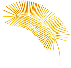 Palme jaune sur fond blanc 