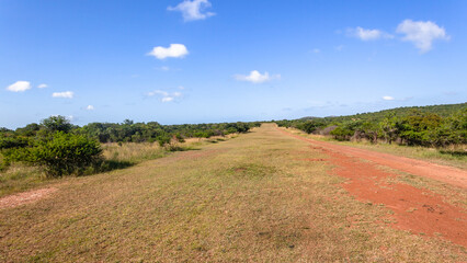 Grass Airfield Strip Runway Wildlife Safari Landscape