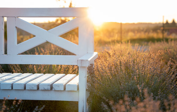 Blooming lavender and a bench in the sunset summer light. Inspiration concept. Beautiful nature wallpaper. Selective focus