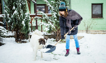 woman with shovel cleaning snow., white dog playing. Winter shoveling. Removing snow after blizzard