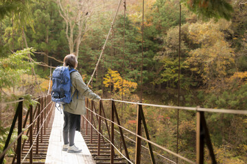 紅葉を見に行くトレッキングする吊り橋の上の女性　コピースペースあり